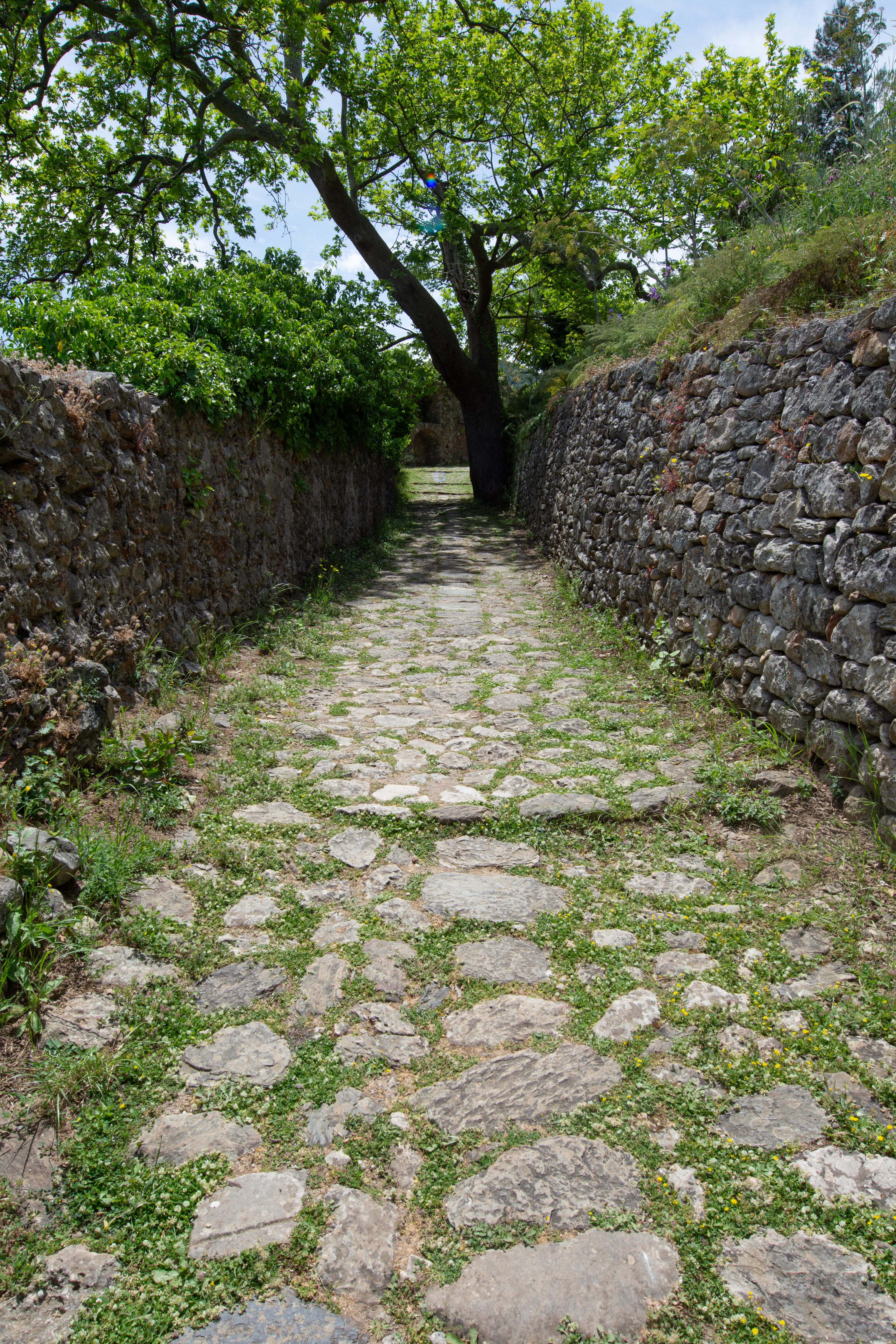 Ο κύριος λιθόστρωτος δρόμος